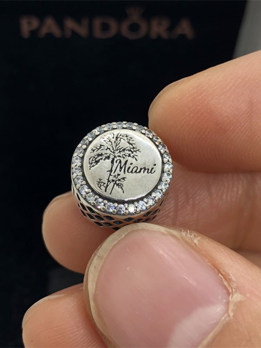 ✨🔥Pandora Miami Palm Beach Travel Charm